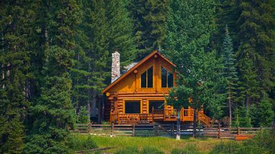 Log preservation